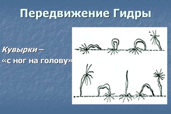 Пользователь не найден кракен