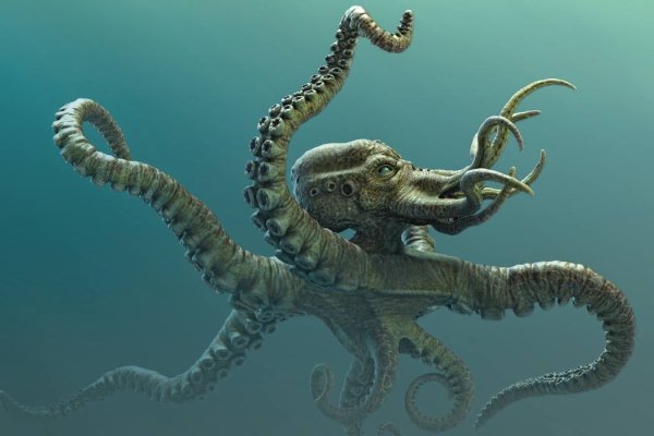 Kraken 1 2