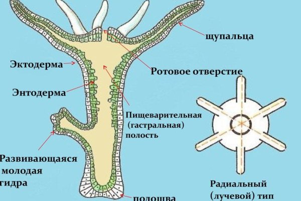 Кракен торговая площадка