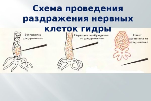 Кракен маркетплейс 2025