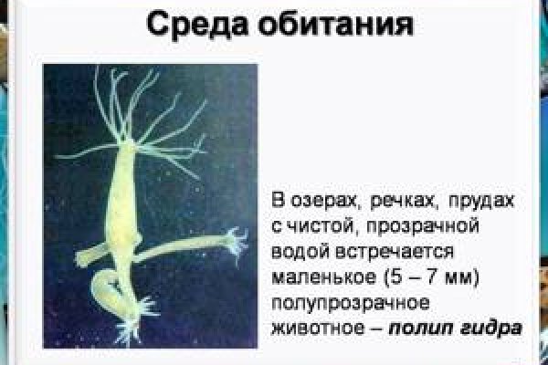 Зеркало кракен дарк